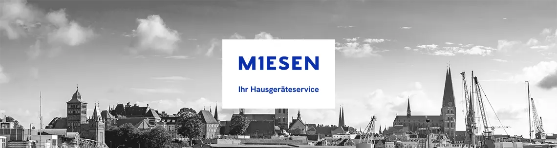 Hausgeräte Reparatur Service Lübeck - Firma Miesen - Bild zeigt Panorama von Lübeck